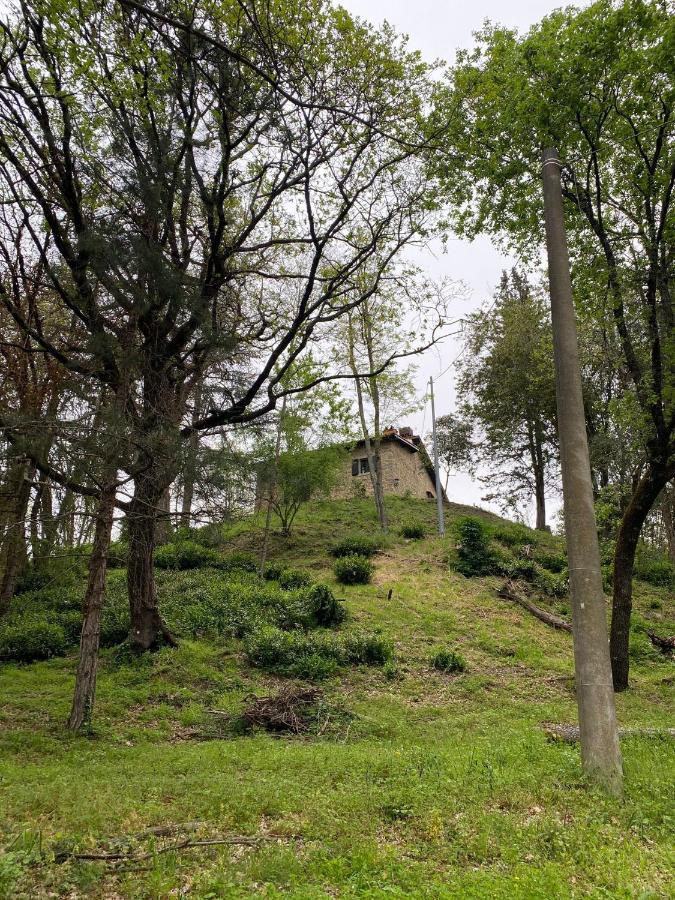 Dicomano Naturemugello Oasi Naturista מראה חיצוני תמונה