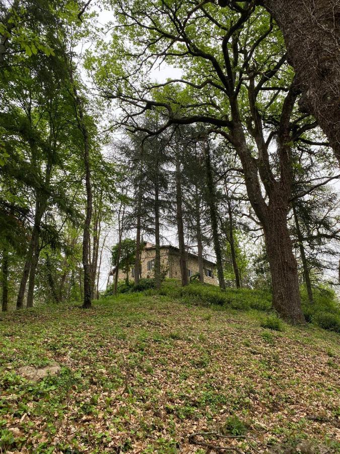 Dicomano Naturemugello Oasi Naturista מראה חיצוני תמונה